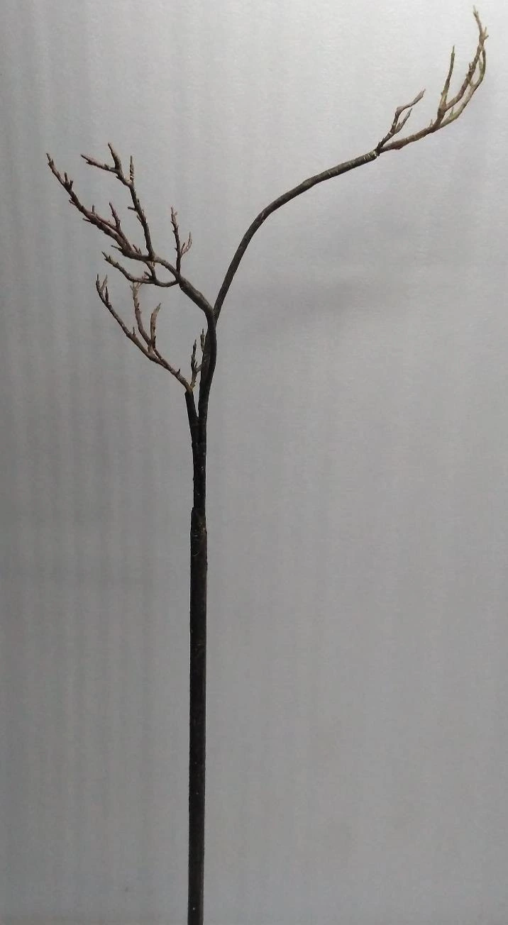 Empty Tree H120cm Branch x3 45,35,25cm